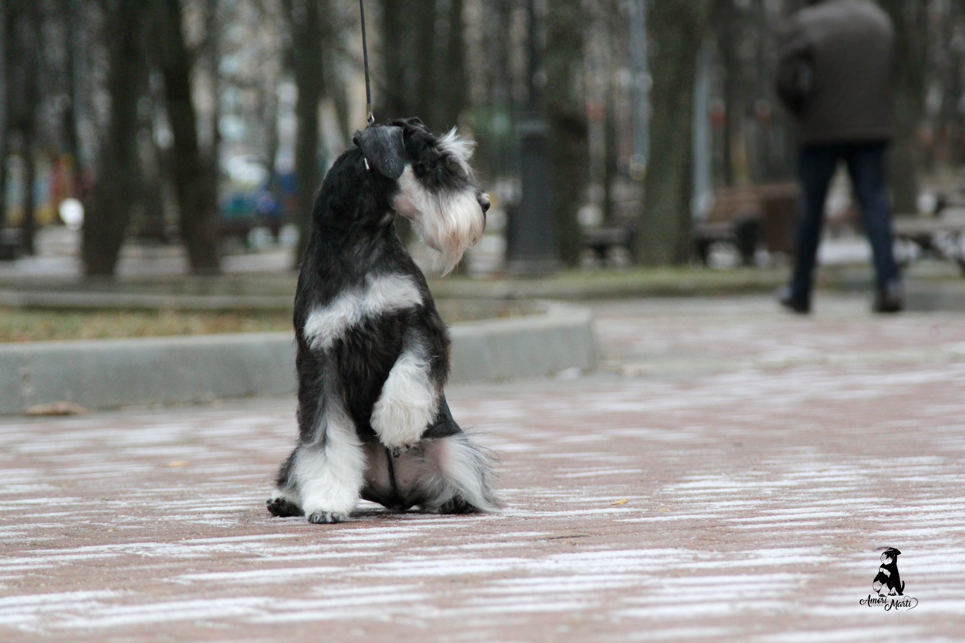 http://upforme.ru/uploads/0013/26/e2/64/472376.jpg