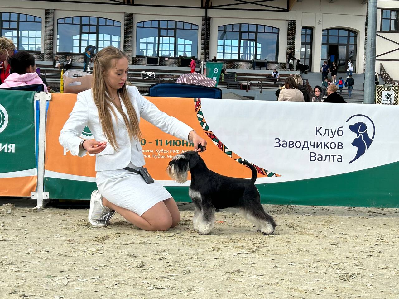 http://upforme.ru/uploads/0013/26/e2/64/475527.jpg