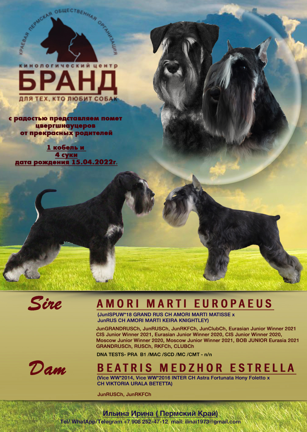 http://upforme.ru/uploads/0013/26/e2/64/489915.jpg