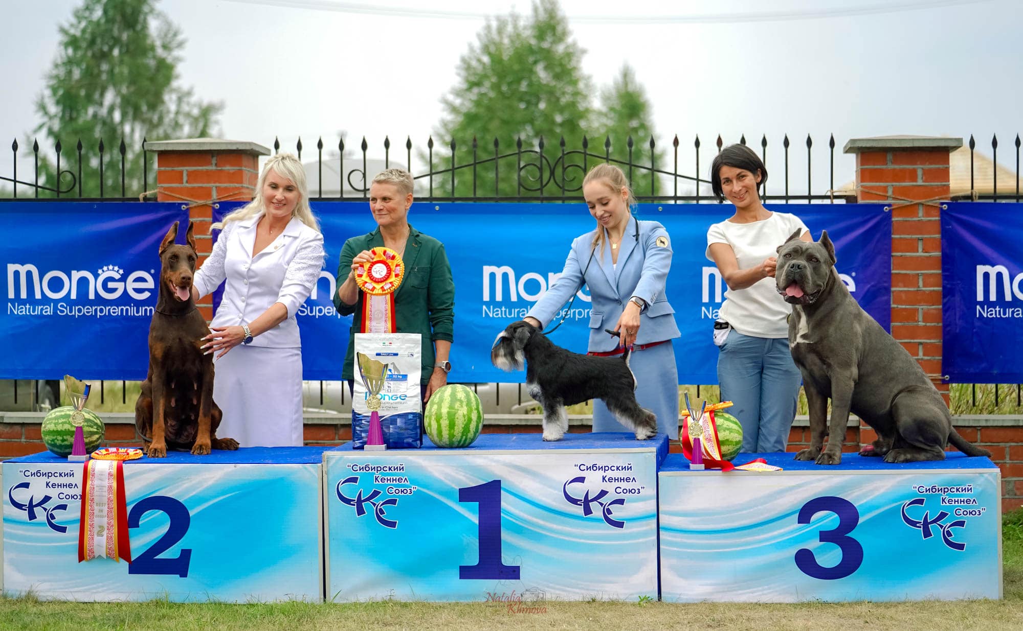 http://upforme.ru/uploads/0013/26/e2/64/49014.jpg