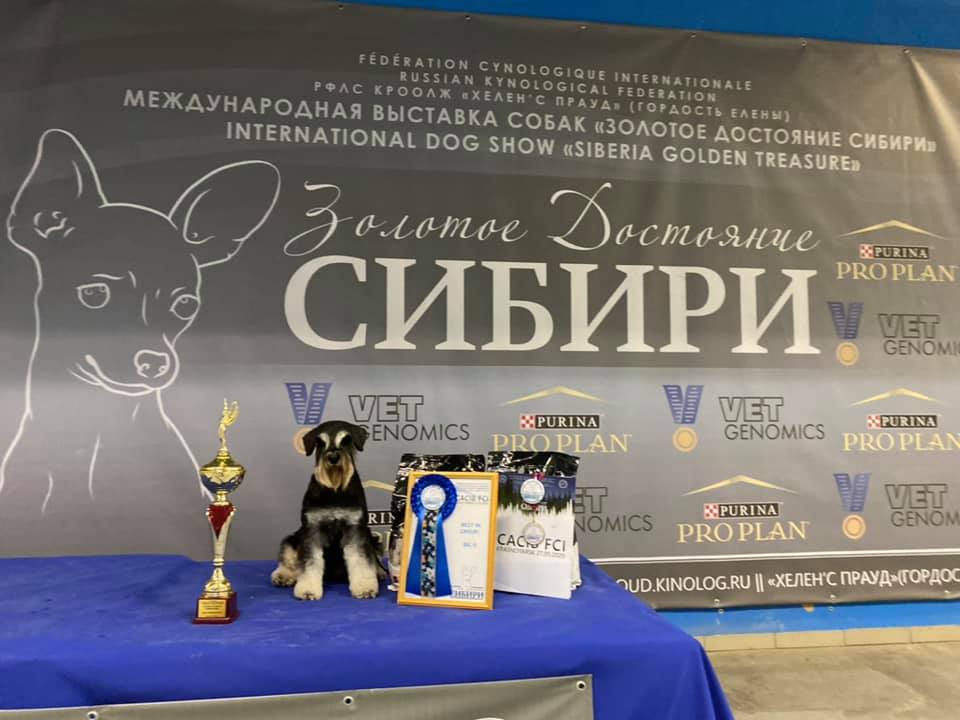 http://upforme.ru/uploads/0013/26/e2/64/49016.jpg