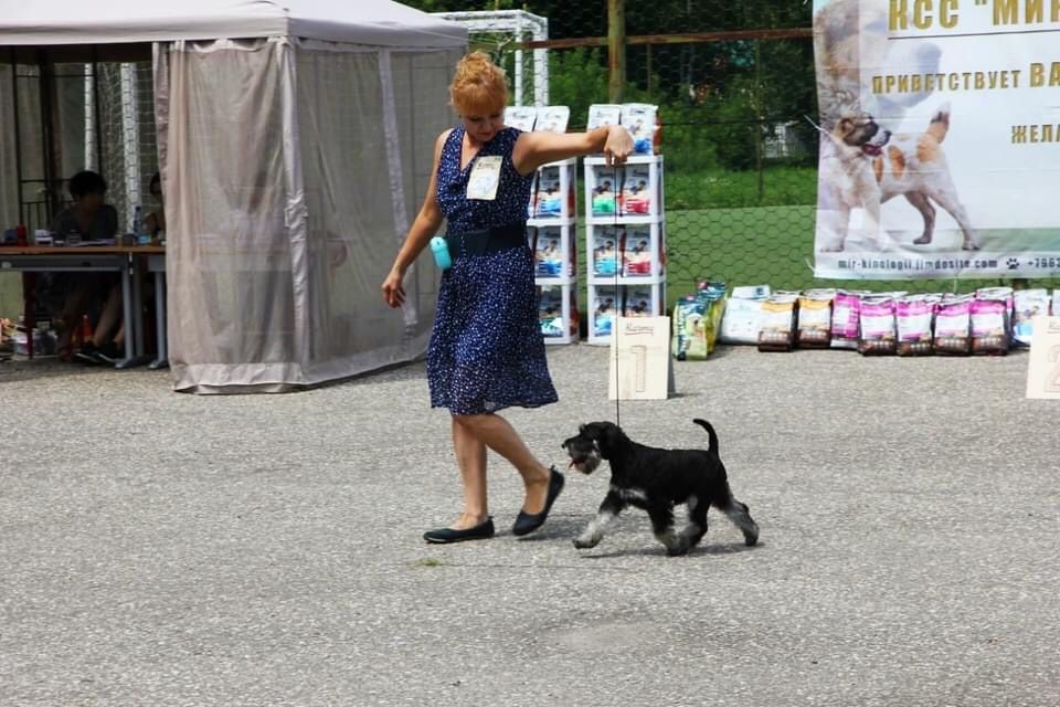 http://upforme.ru/uploads/0013/26/e2/64/493077.jpg