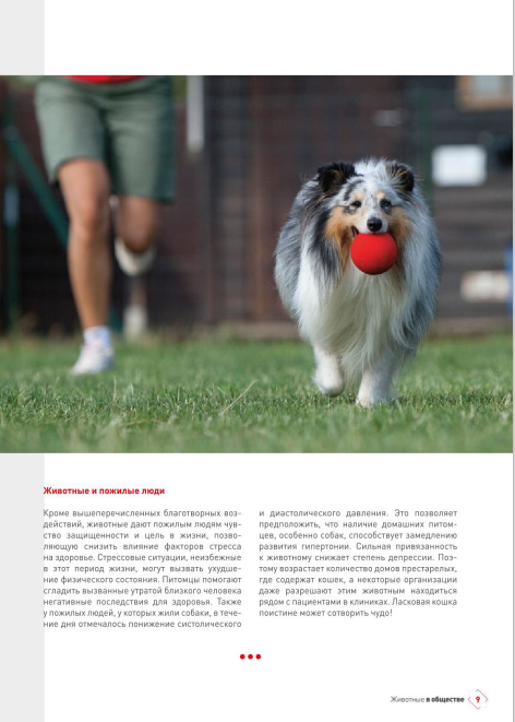 http://upforme.ru/uploads/0013/26/e2/64/494965.png