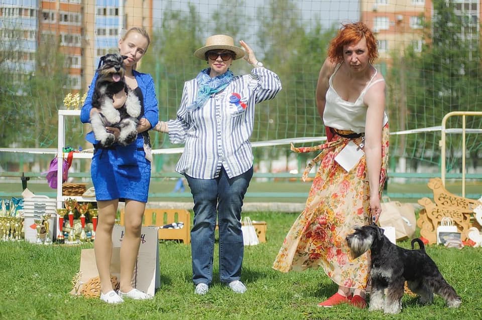http://upforme.ru/uploads/0013/26/e2/64/498848.jpg