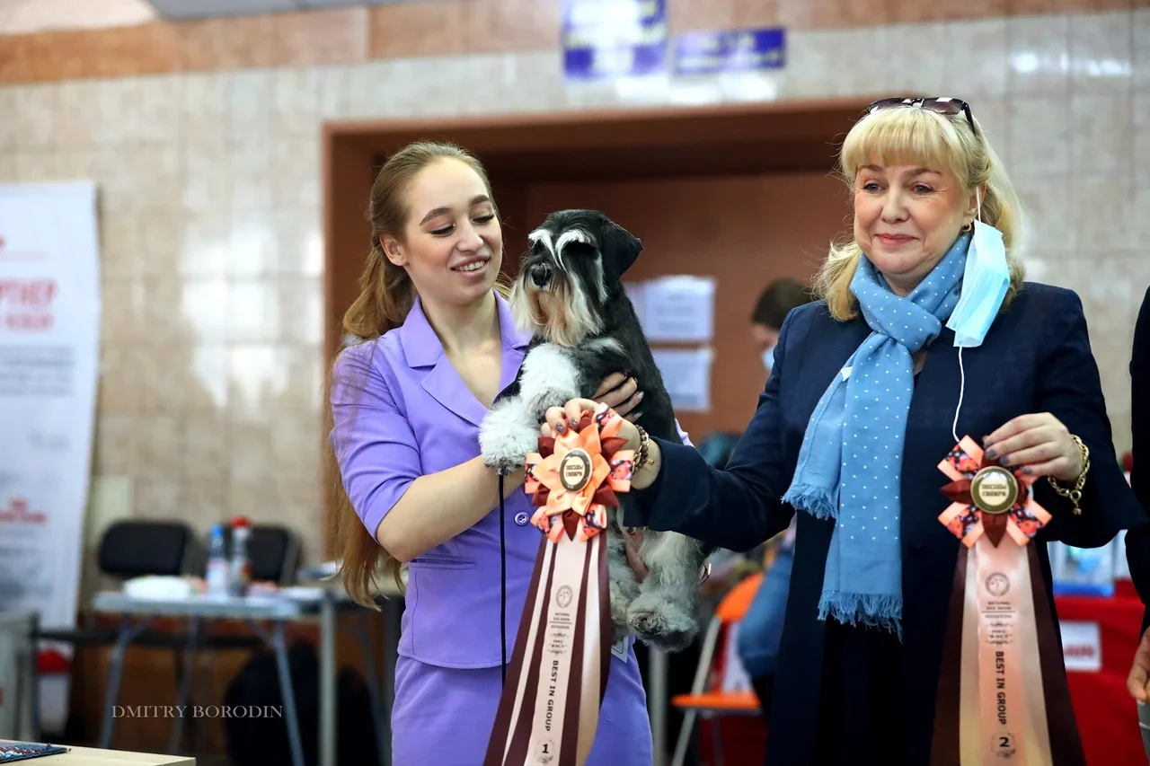 http://upforme.ru/uploads/0013/26/e2/64/507287.webp
