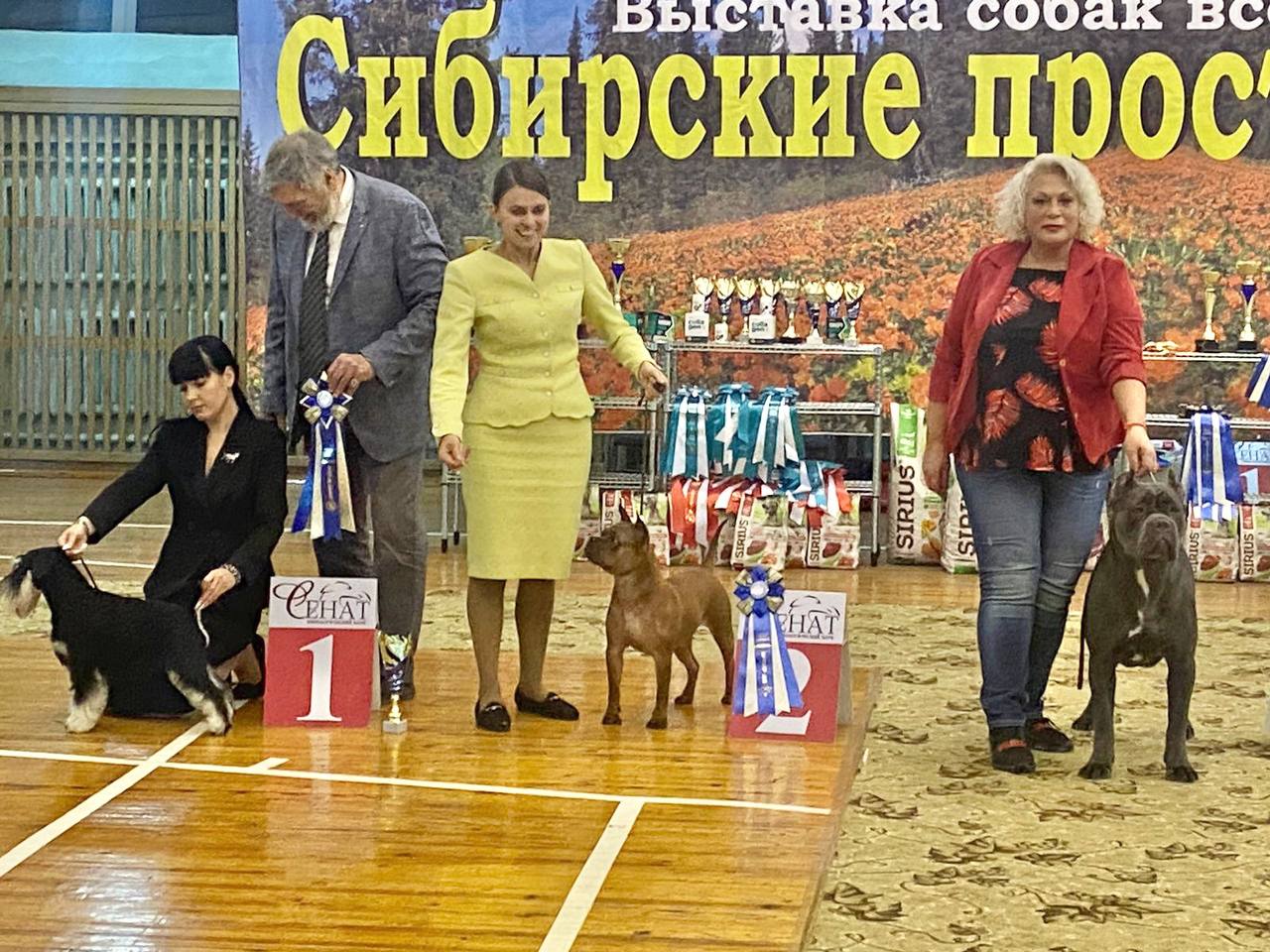 http://upforme.ru/uploads/0013/26/e2/64/512129.jpg