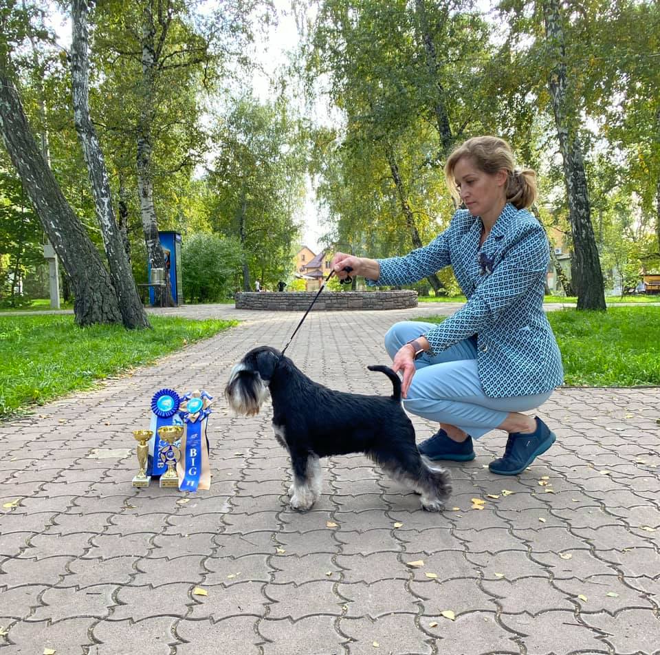http://upforme.ru/uploads/0013/26/e2/64/515926.jpg
