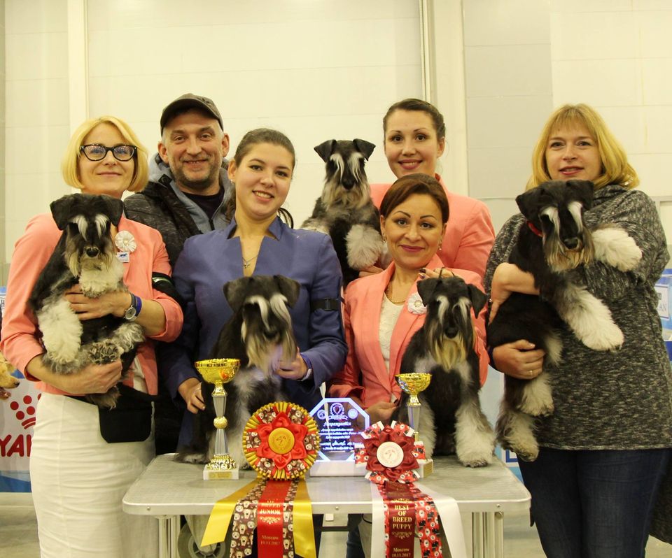 http://upforme.ru/uploads/0013/26/e2/64/52388.jpg