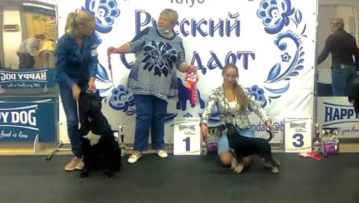 http://upforme.ru/uploads/0013/26/e2/64/53683.jpg