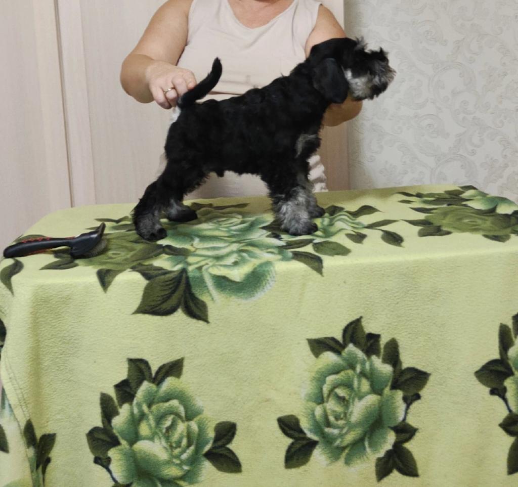 http://upforme.ru/uploads/0013/26/e2/64/541970.jpg
