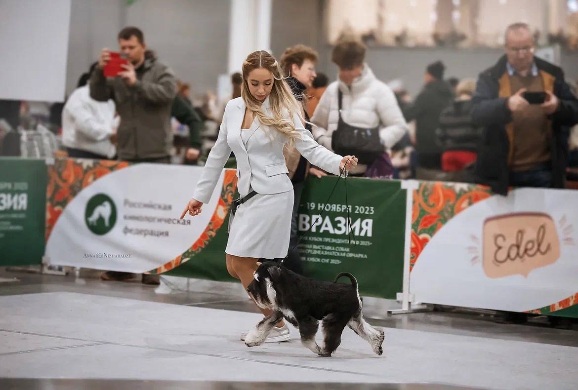 http://upforme.ru/uploads/0013/26/e2/64/550087.jpg