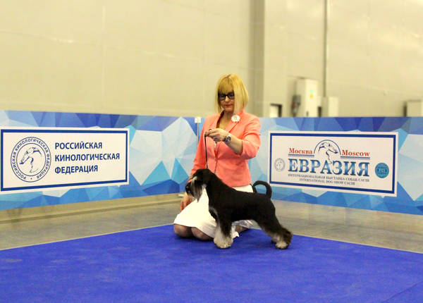 http://upforme.ru/uploads/0013/26/e2/64/559492.jpg