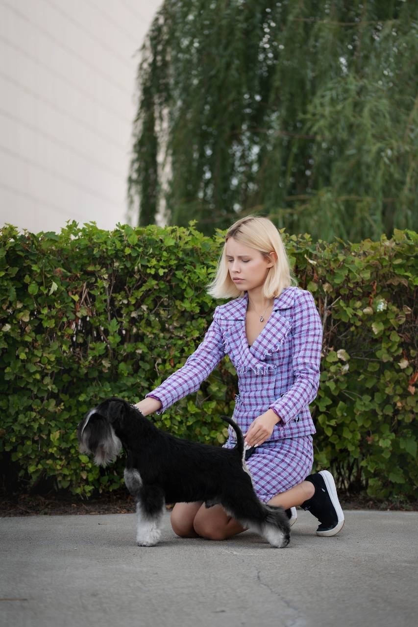 http://upforme.ru/uploads/0013/26/e2/64/561381.jpg