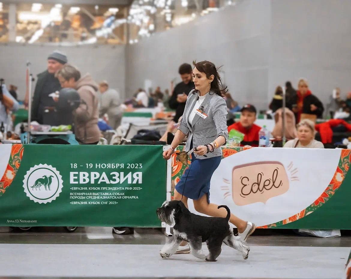 http://upforme.ru/uploads/0013/26/e2/64/564881.jpg