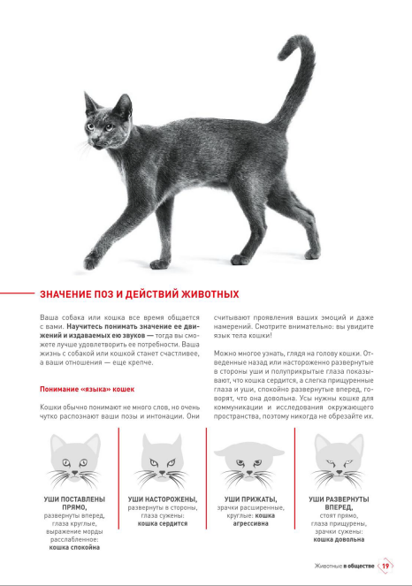 http://upforme.ru/uploads/0013/26/e2/64/568782.png