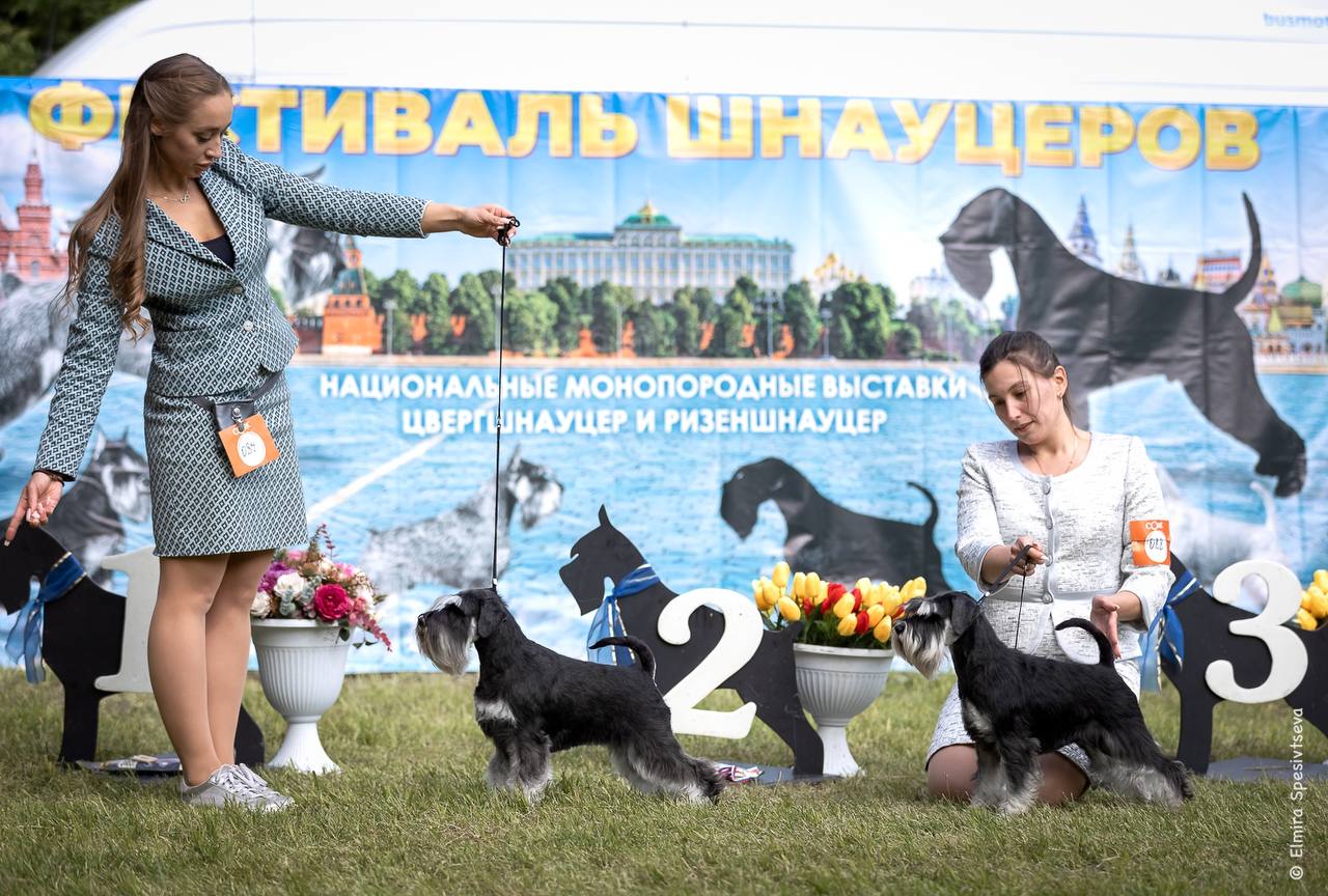 http://upforme.ru/uploads/0013/26/e2/64/570076.jpg