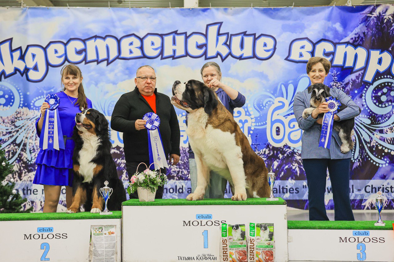 http://upforme.ru/uploads/0013/26/e2/64/570097.jpg