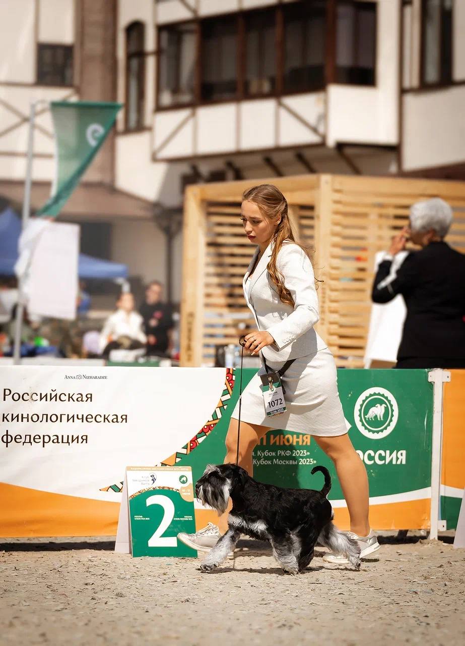 http://upforme.ru/uploads/0013/26/e2/64/570880.jpg