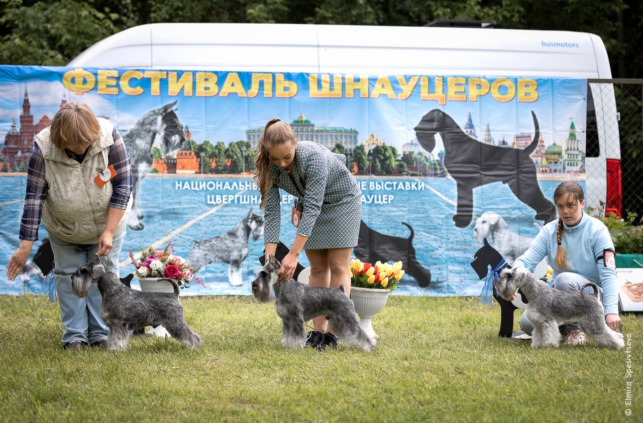 http://upforme.ru/uploads/0013/26/e2/64/572864.jpg