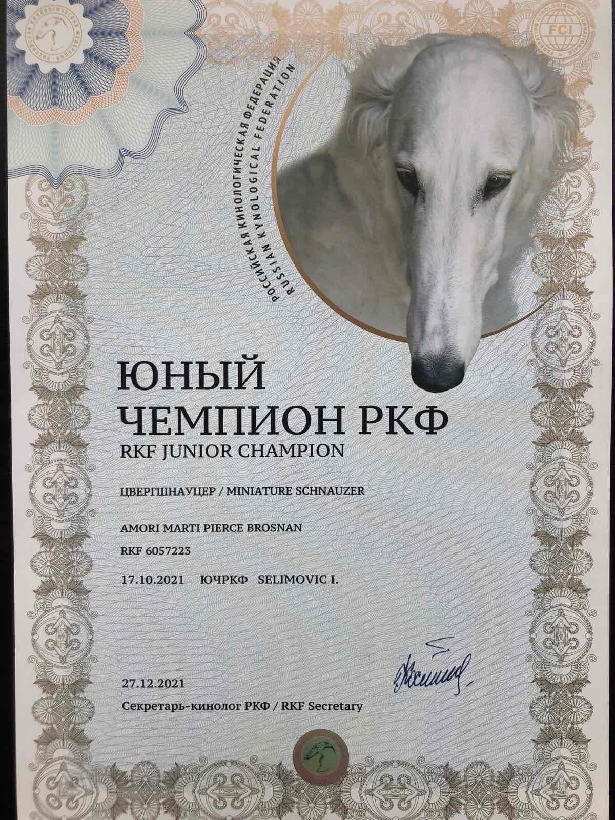 http://upforme.ru/uploads/0013/26/e2/64/575140.jpg