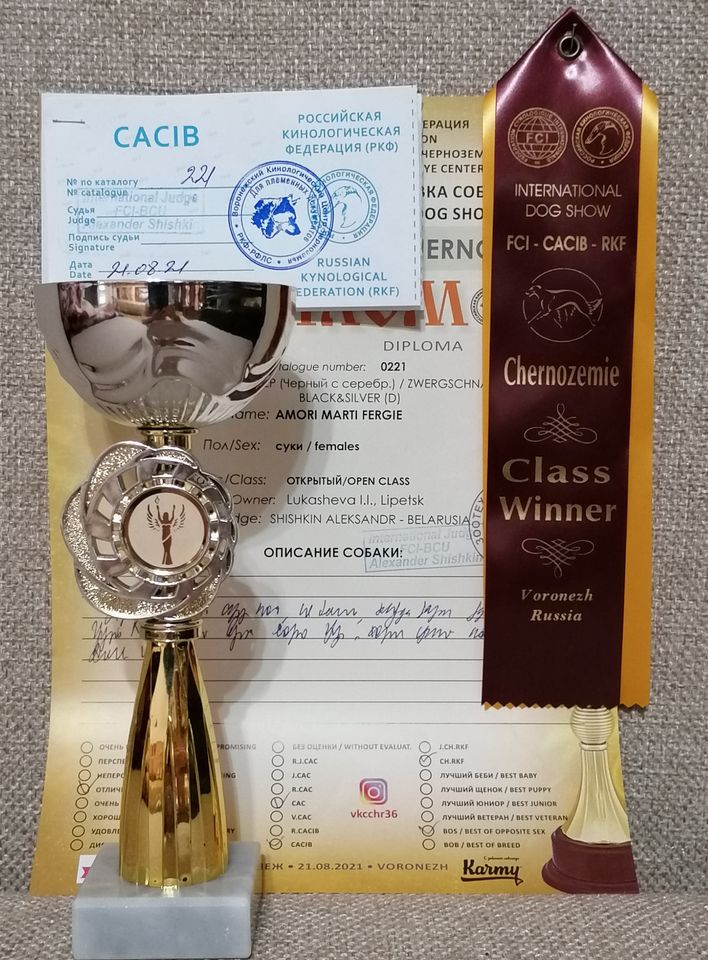 http://upforme.ru/uploads/0013/26/e2/64/581923.jpg