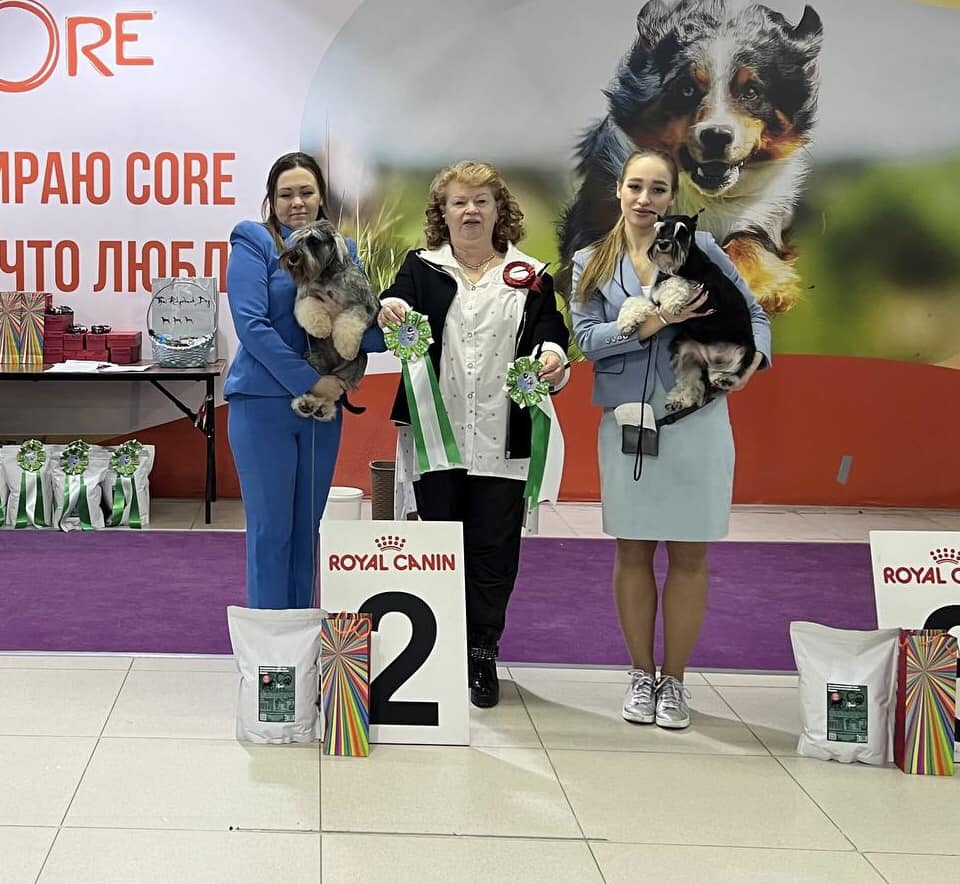 http://upforme.ru/uploads/0013/26/e2/64/590467.jpg