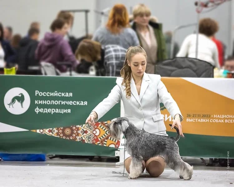 http://upforme.ru/uploads/0013/26/e2/64/596639.jpg