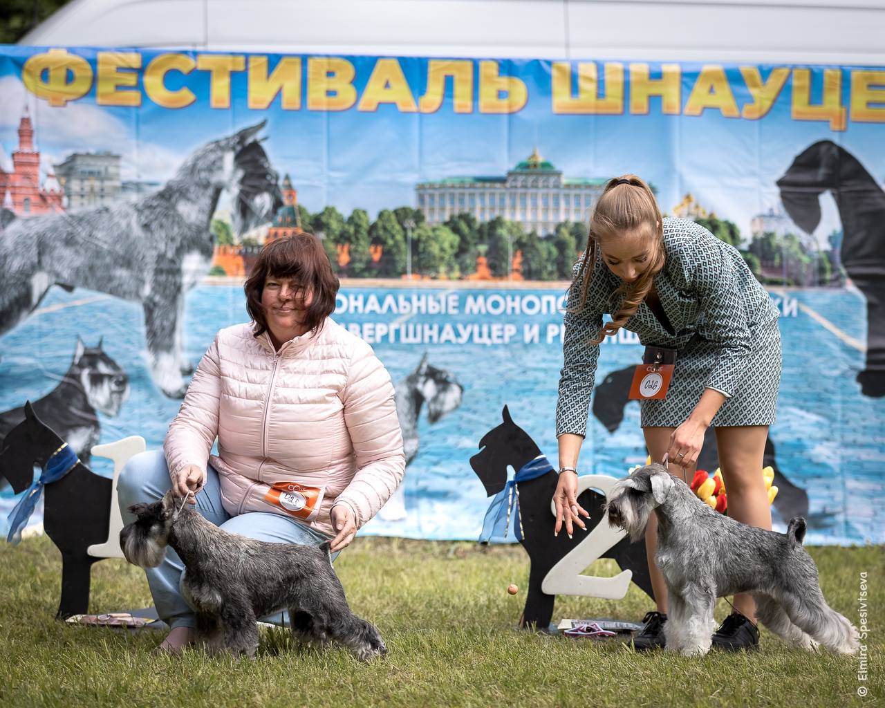 http://upforme.ru/uploads/0013/26/e2/64/596682.jpg