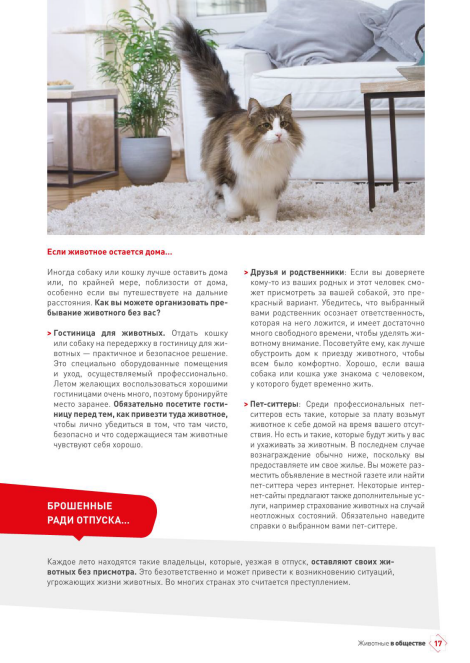 http://upforme.ru/uploads/0013/26/e2/64/598797.png
