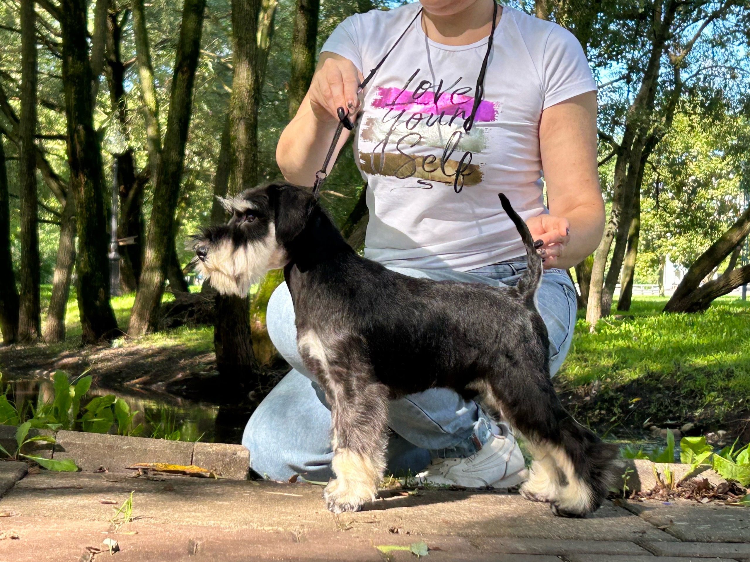 http://upforme.ru/uploads/0013/26/e2/64/604710.jpg