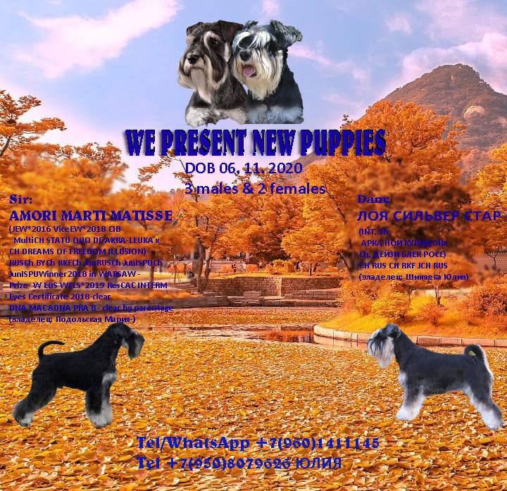 http://upforme.ru/uploads/0013/26/e2/64/616930.jpg