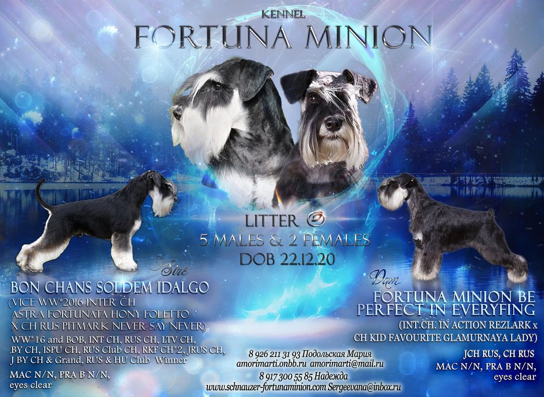 http://upforme.ru/uploads/0013/26/e2/64/631268.jpg