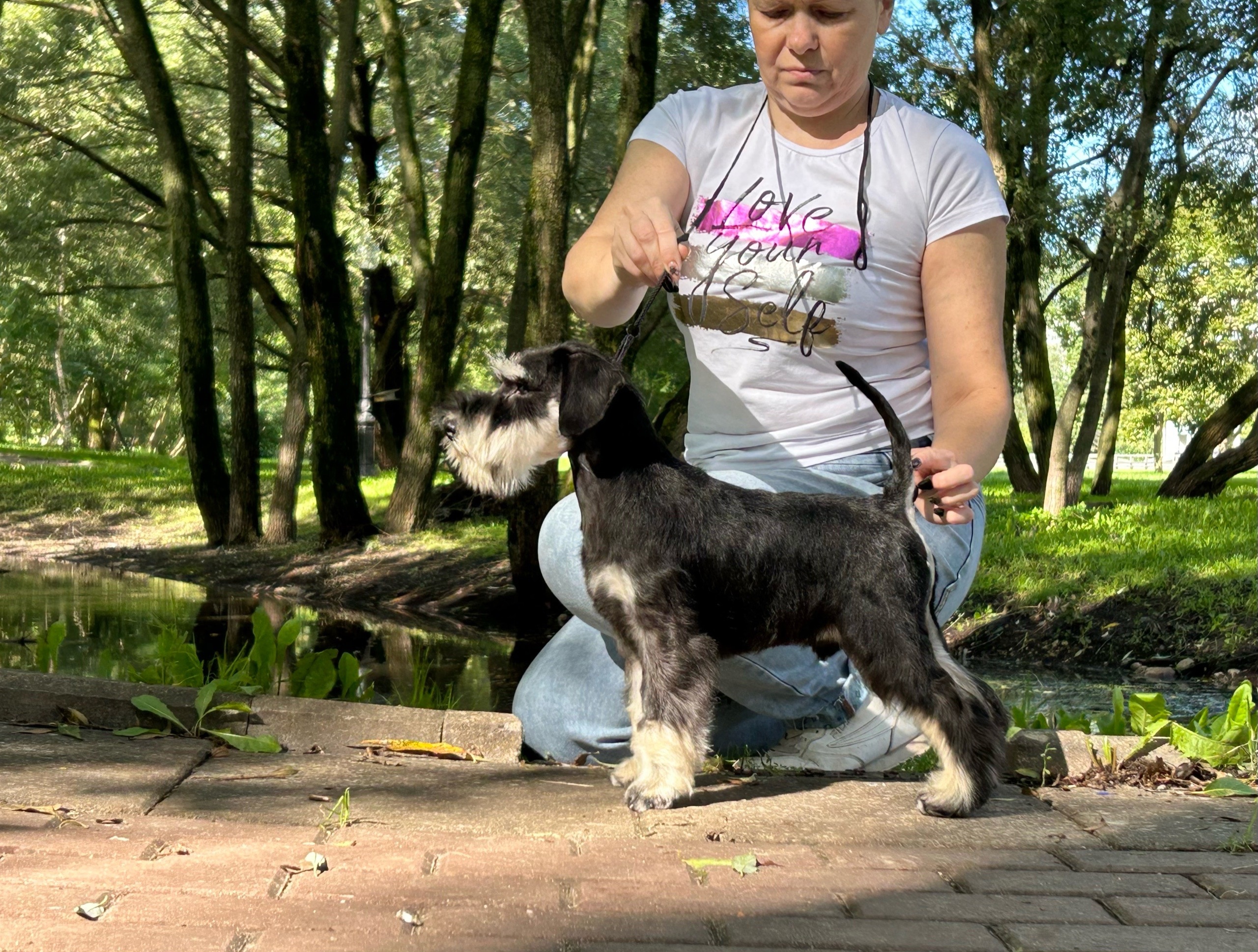 http://upforme.ru/uploads/0013/26/e2/64/633764.jpg