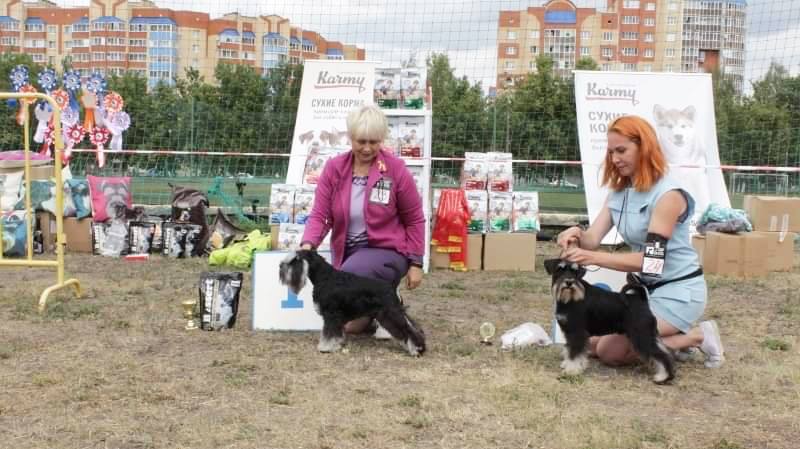 http://upforme.ru/uploads/0013/26/e2/64/634127.jpg