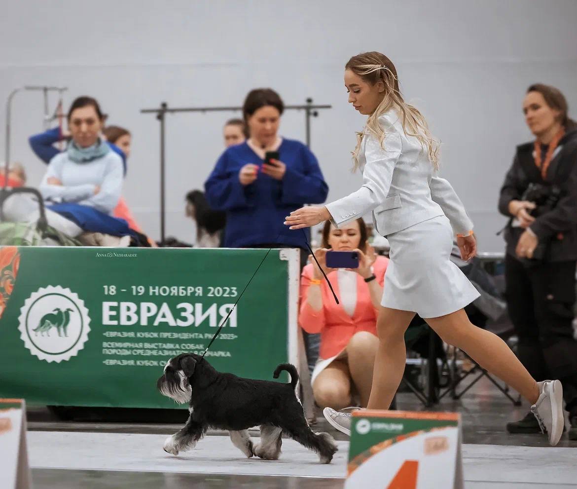 http://upforme.ru/uploads/0013/26/e2/64/641325.jpg