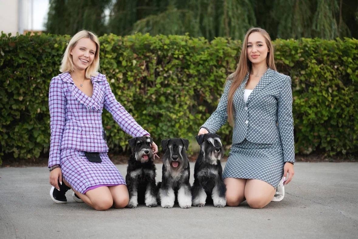 http://upforme.ru/uploads/0013/26/e2/64/651579.jpg