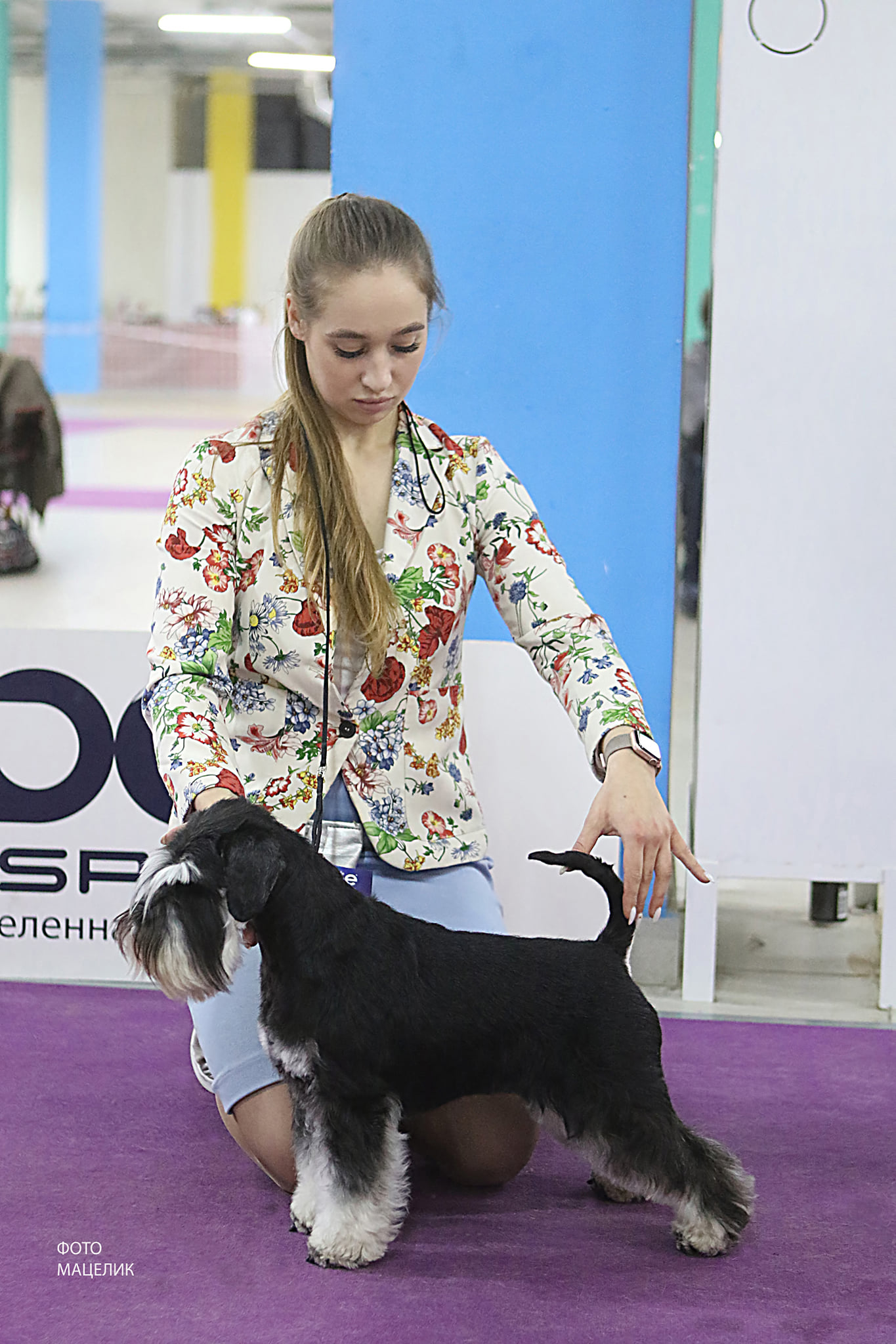 http://upforme.ru/uploads/0013/26/e2/64/652065.jpg