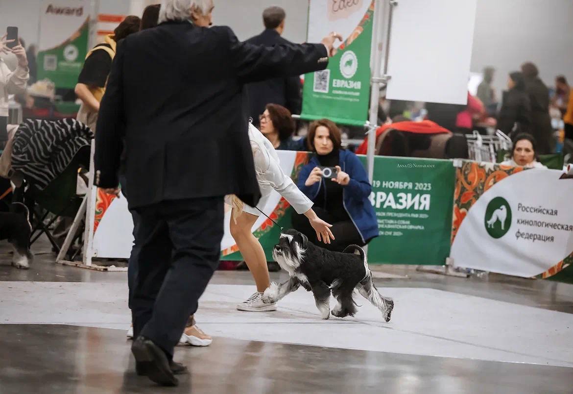http://upforme.ru/uploads/0013/26/e2/64/660796.jpg
