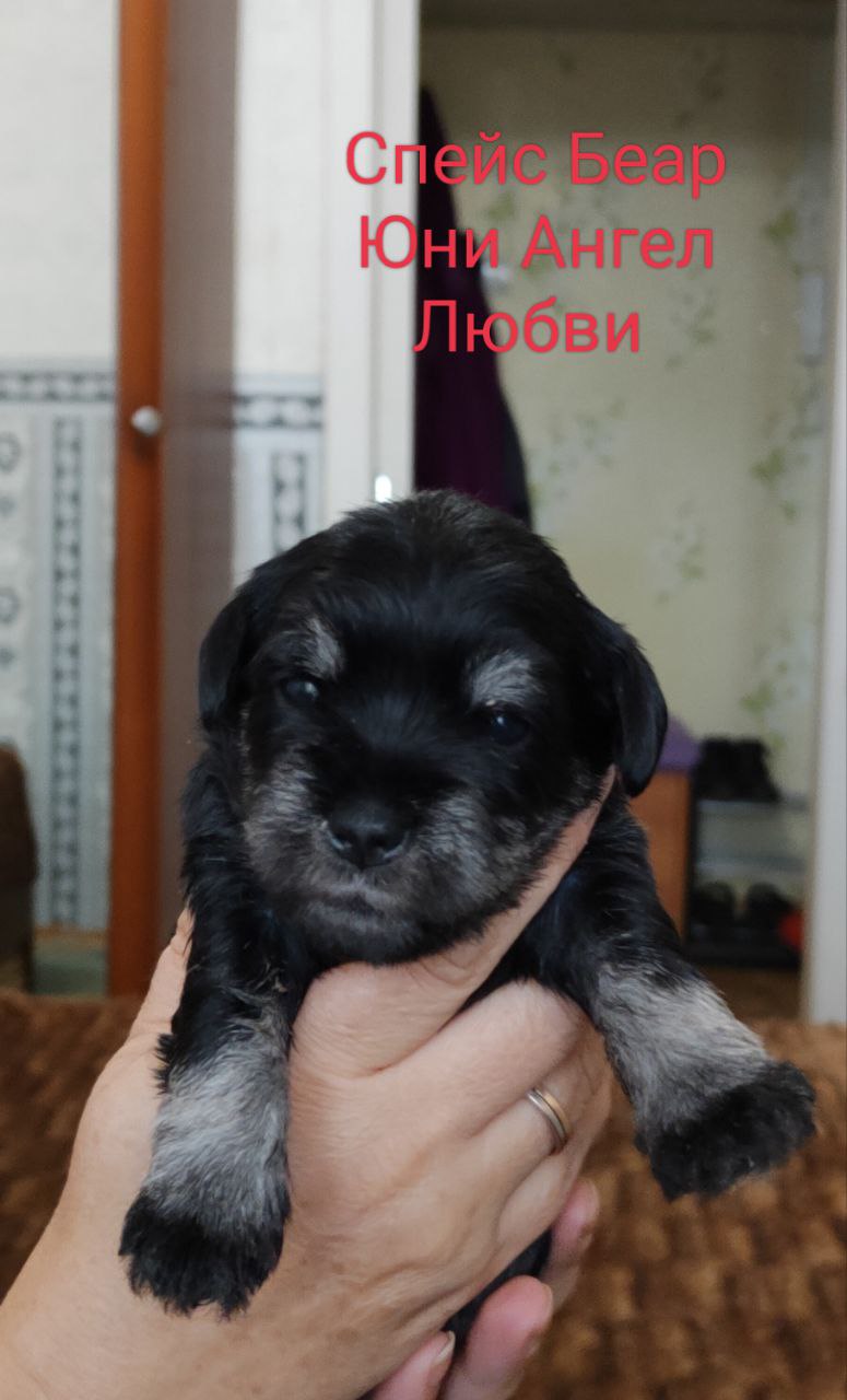 http://upforme.ru/uploads/0013/26/e2/64/672107.jpg