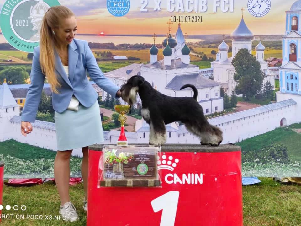 http://upforme.ru/uploads/0013/26/e2/64/674878.jpg