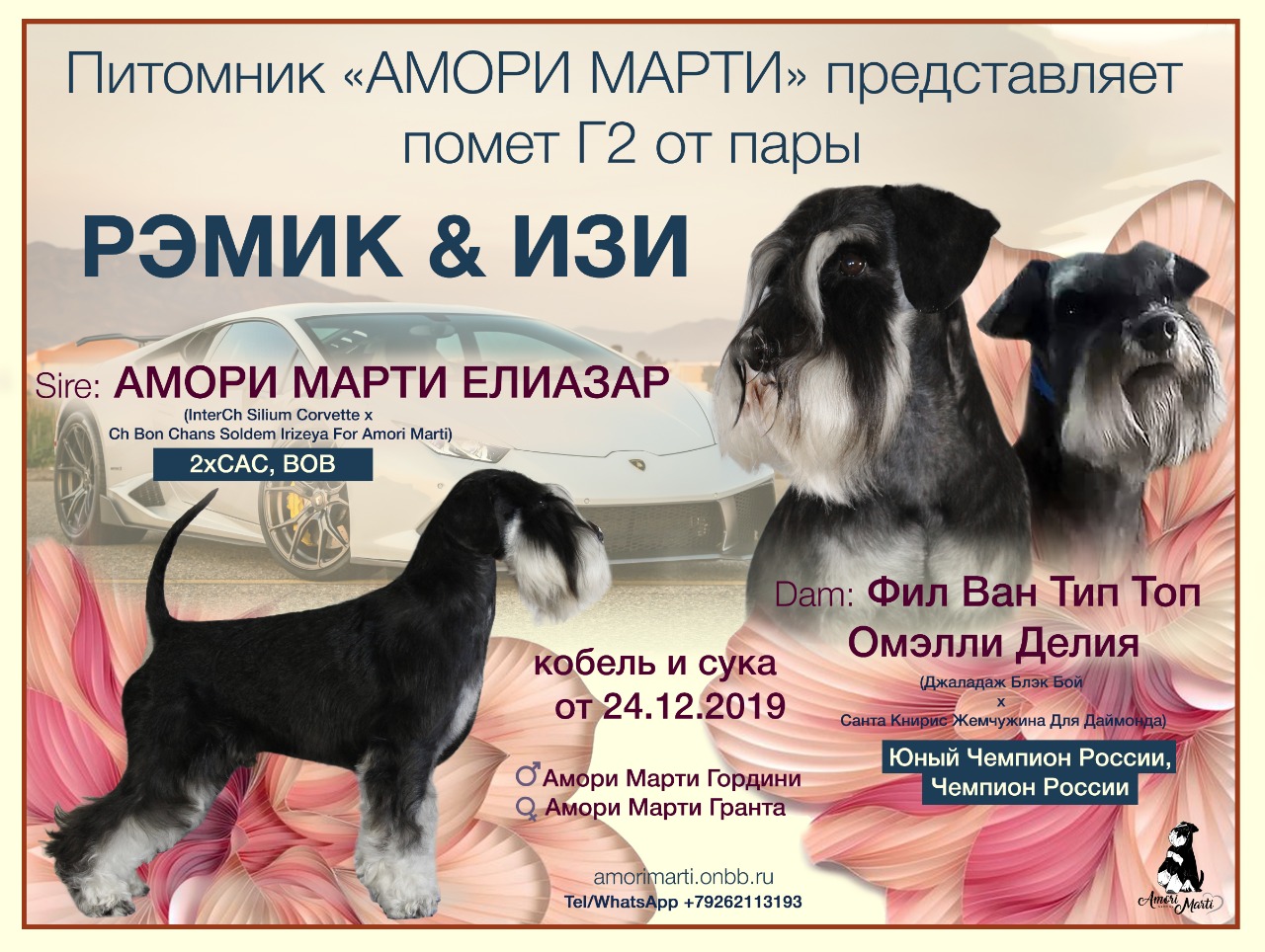 http://upforme.ru/uploads/0013/26/e2/64/684980.jpg