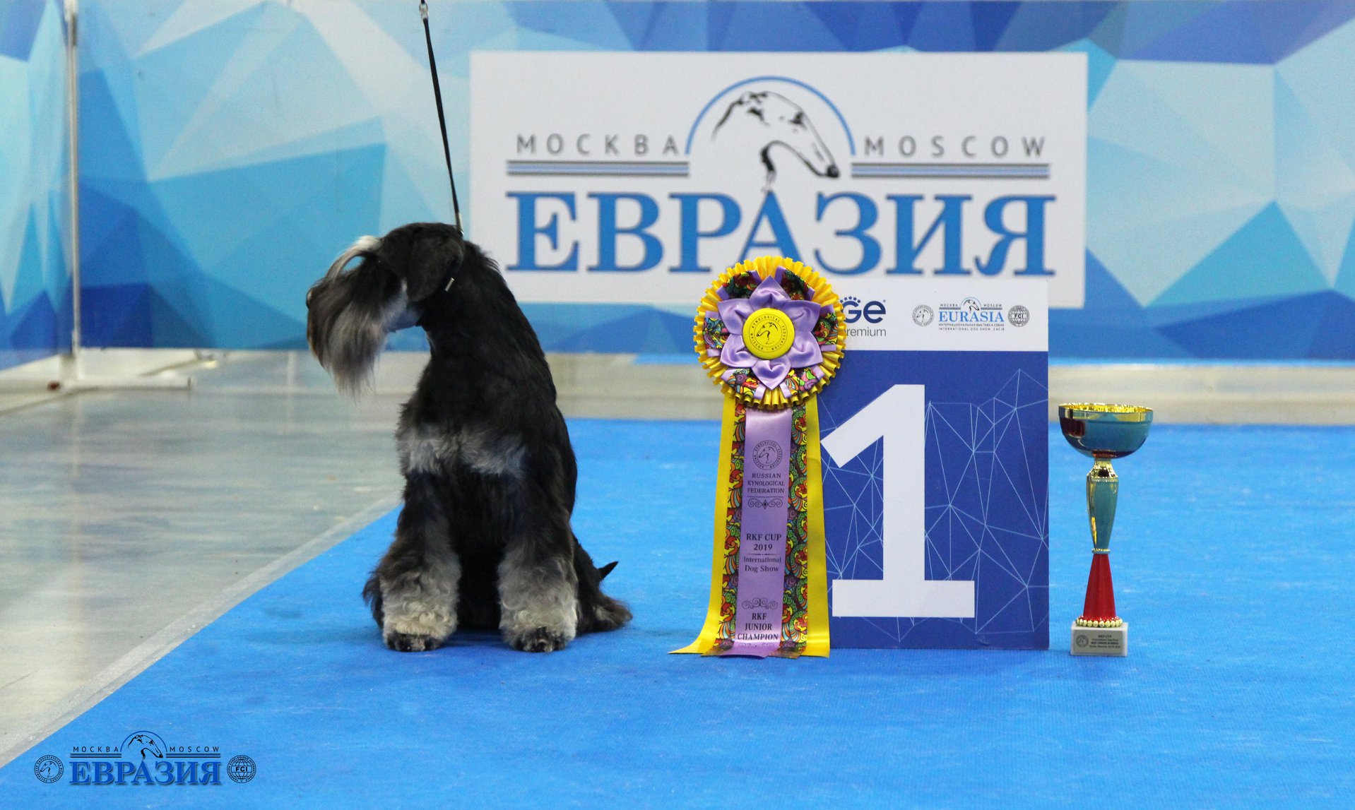 http://upforme.ru/uploads/0013/26/e2/64/690014.jpg