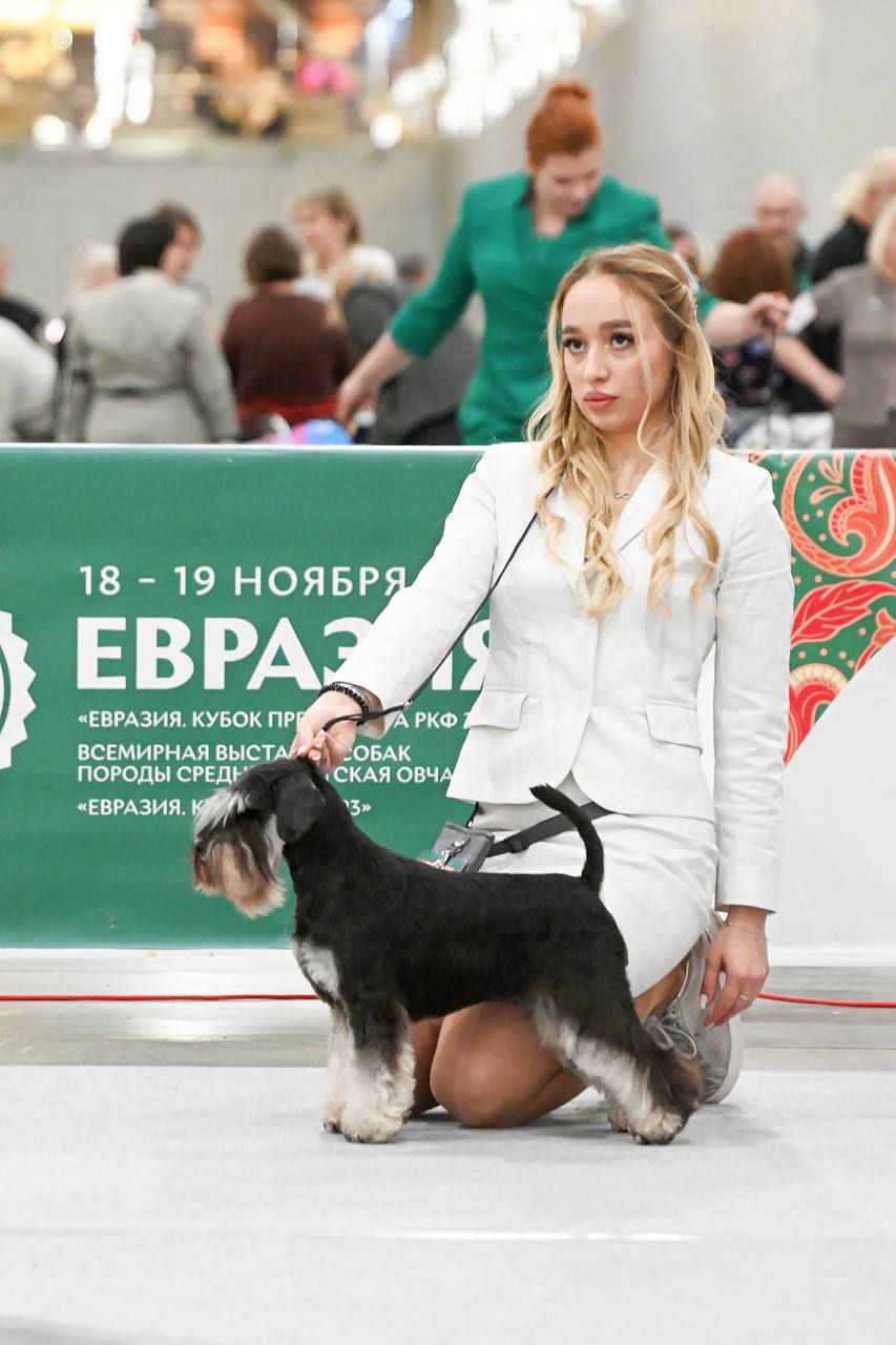 http://upforme.ru/uploads/0013/26/e2/64/696098.jpg
