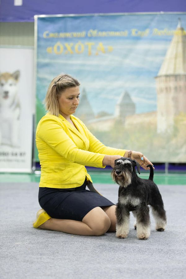 http://upforme.ru/uploads/0013/26/e2/64/69915.jpg