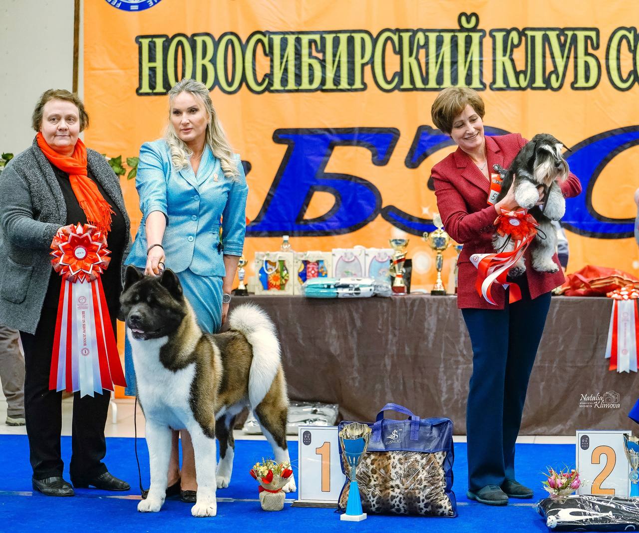 http://upforme.ru/uploads/0013/26/e2/64/699191.jpg