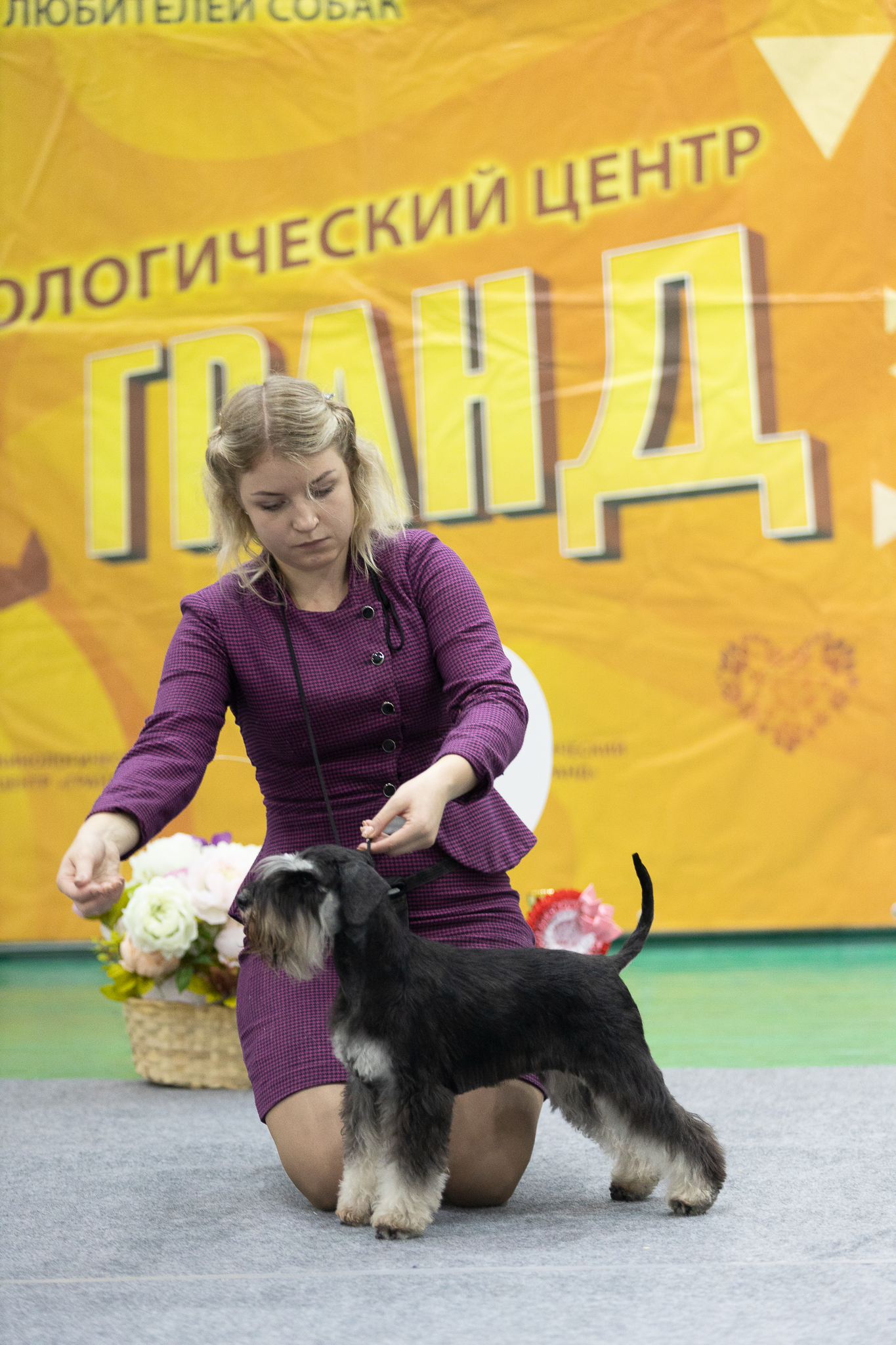 http://upforme.ru/uploads/0013/26/e2/64/702844.jpg