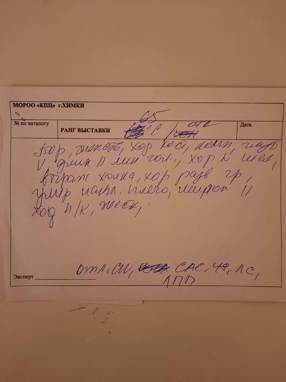 http://upforme.ru/uploads/0013/26/e2/64/704997.jpg