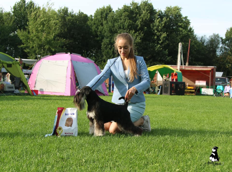 http://upforme.ru/uploads/0013/26/e2/64/712021.jpg
