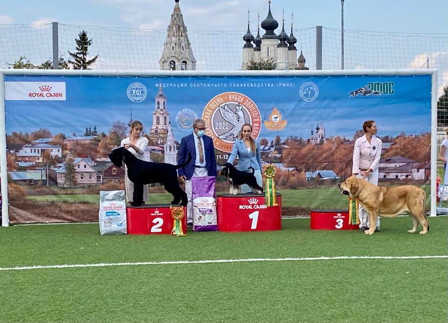 http://upforme.ru/uploads/0013/26/e2/64/714446.jpg