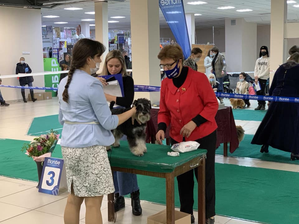 http://upforme.ru/uploads/0013/26/e2/64/721490.jpg